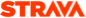 strava icon
